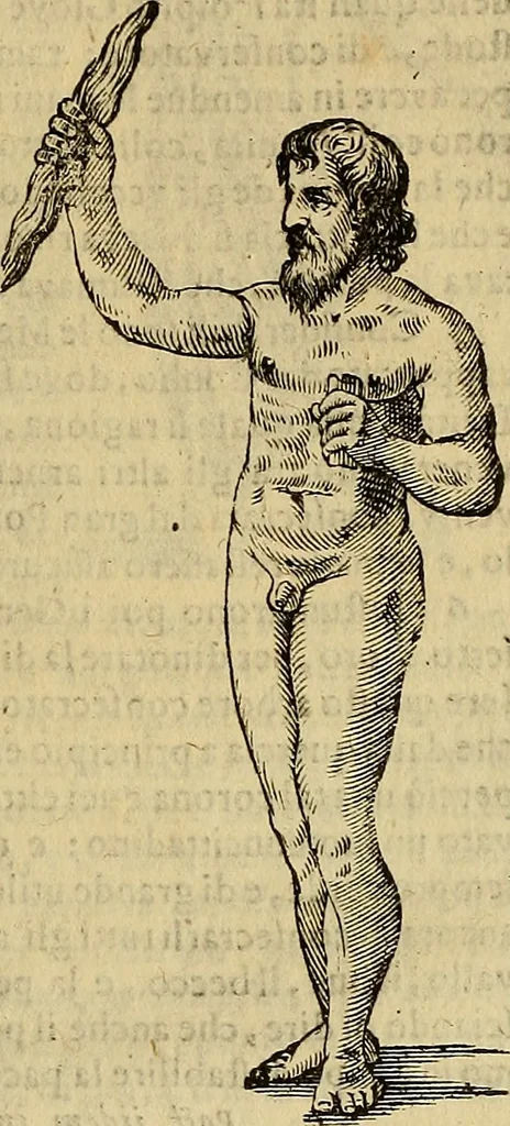 An illustration from Museo Cospiano : annesso a quello del famoso Vlisse Aldrovandi e donato alla sua patria dall' illustrissimo signor Ferdinando Cospi ..., fra' gli Accademici Gelati il Fedele, e principe al presente de' medesimi, 1677, leaf 528