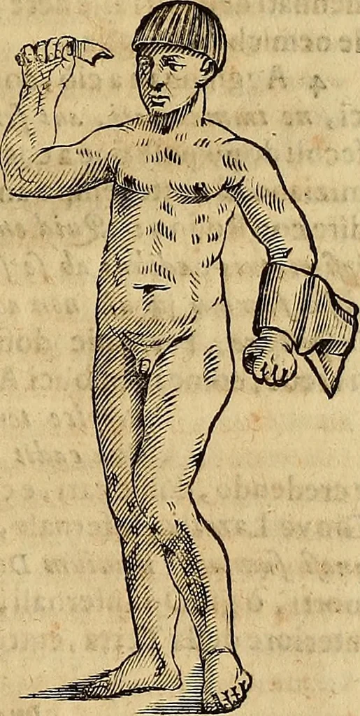 An illustration from Museo Cospiano : annesso a quello del famoso Vlisse Aldrovandi e donato alla sua patria dall' illustrissimo signor Ferdinando Cospi ..., fra' gli Accademici Gelati il Fedele, e principe al presente de' medesimi, 1677, leaf 536
