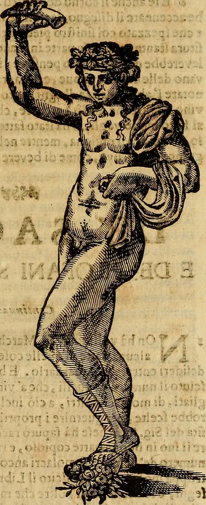 An illustration from Museo Cospiano : annesso a quello del famoso Vlisse Aldrovandi e donato alla sua patria dall' illustrissimo signor Ferdinando Cospi ..., fra' gli Accademici Gelati il Fedele, e principe al presente de' medesimi, 1677, leaf 540