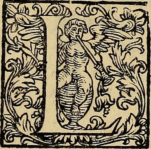 An illustration from Museo Cospiano : annesso a quello del famoso Vlisse Aldrovandi e donato alla sua patria dall' illustrissimo signor Ferdinando Cospi ..., fra' gli Accademici Gelati il Fedele, e principe al presente de' medesimi, 1677, leaf 8