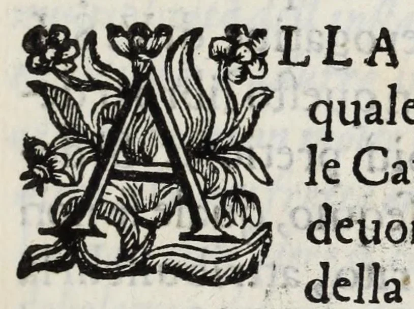 An illustration from Museo, ò Galeria, adunata dal sapere e dallo studio del sig. canonico Manfredo Settala nobile milanese, 1666, leaf 11