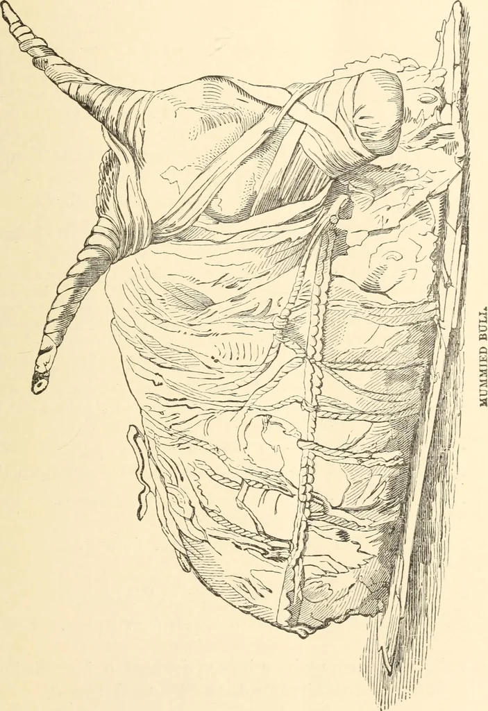 An illustration from Catalogue of the Museum and Gallery of Art of the New-York Historical Society, 1893, 1893, leaf 32