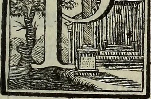 An illustration from Museum Cortonense : in quo vetera monumenta complectuntur anaglypha, thoreumata, gemmae inscalptae insculptaeque quae in Academia etrusca ceterisque nobilium virorum domibus adservantur, in plurimus tabulis aereis distributum, 1750, leaf 122