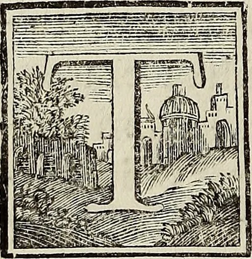 An illustration from Museum Cortonense : in quo vetera monumenta complectuntur anaglypha, thoreumata, gemmae inscalptae insculptaeque quae in Academia etrusca ceterisque nobilium virorum domibus adservantur, in plurimus tabulis aereis distributum, 1750, leaf 137