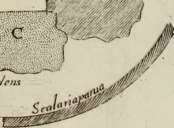 An illustration from Museum Cortonense : in quo vetera monumenta complectuntur anaglypha, thoreumata, gemmae inscalptae insculptaeque quae in Academia etrusca ceterisque nobilium virorum domibus adservantur, in plurimus tabulis aereis distributum, 1750, leaf 150