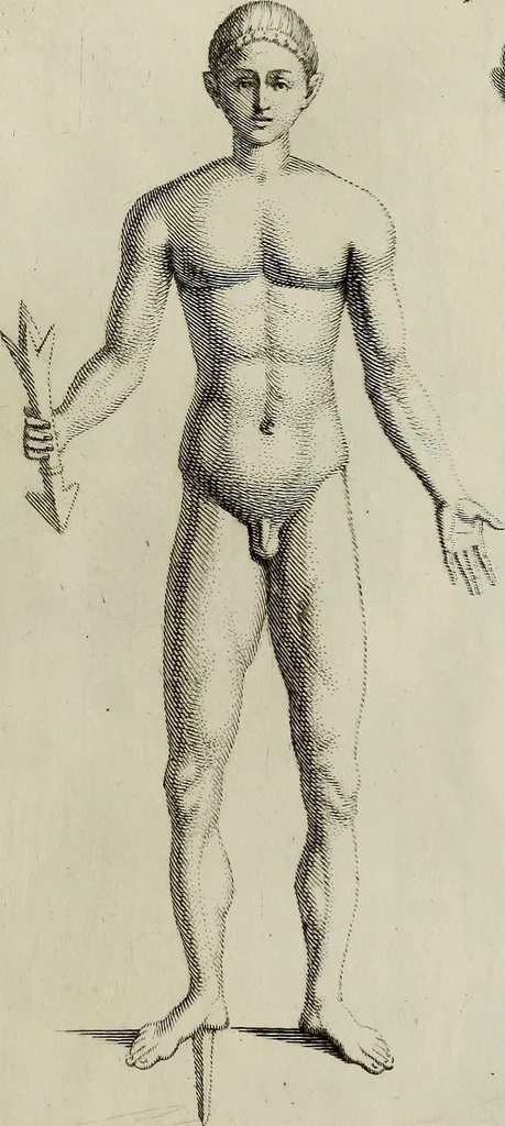An illustration from Museum Cortonense : in quo vetera monumenta complectuntur anaglypha, thoreumata, gemmae inscalptae insculptaeque quae in Academia etrusca ceterisque nobilium virorum domibus adservantur, in plurimus tabulis aereis distributum, 1750, leaf 154