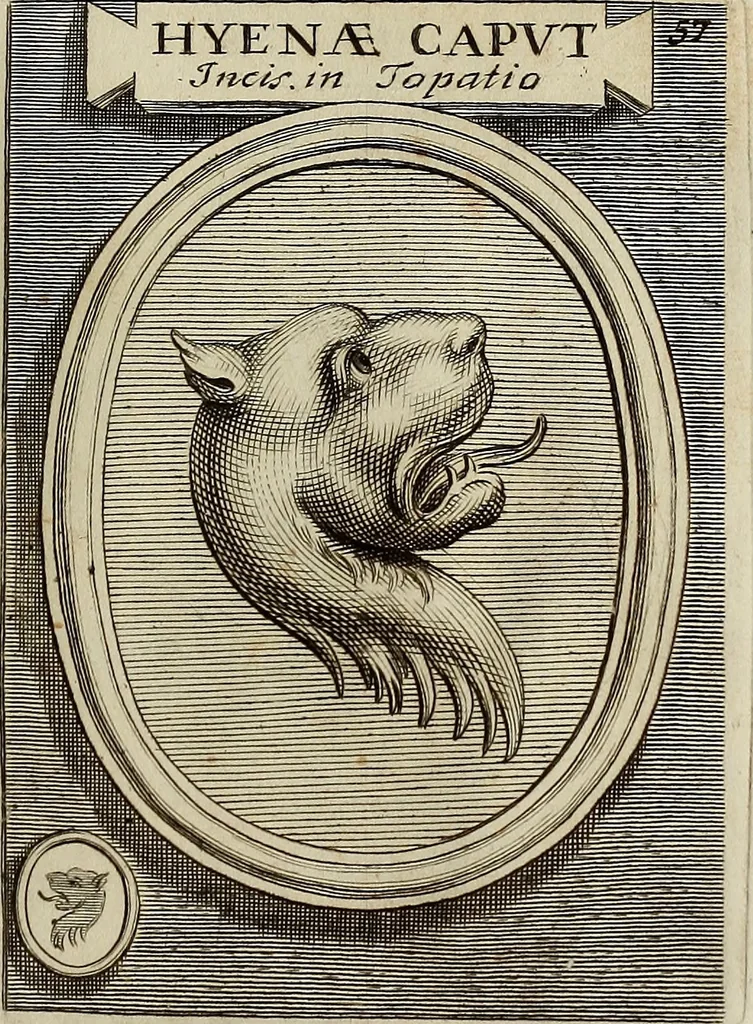 An illustration from Museum Cortonense : in quo vetera monumenta complectuntur anaglypha, thoreumata, gemmae inscalptae insculptaeque quae in Academia etrusca ceterisque nobilium virorum domibus adservantur, in plurimus tabulis aereis distributum, 1750, leaf 260