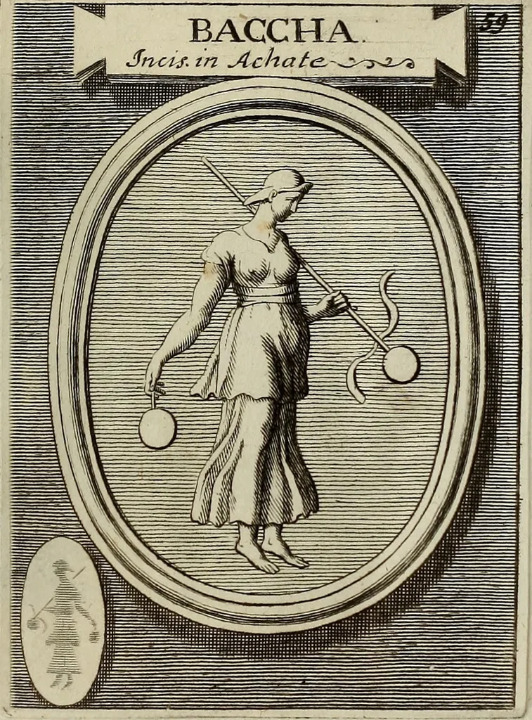 An illustration from Museum Cortonense : in quo vetera monumenta complectuntur anaglypha, thoreumata, gemmae inscalptae insculptaeque quae in Academia etrusca ceterisque nobilium virorum domibus adservantur, in plurimus tabulis aereis distributum, 1750, leaf 264