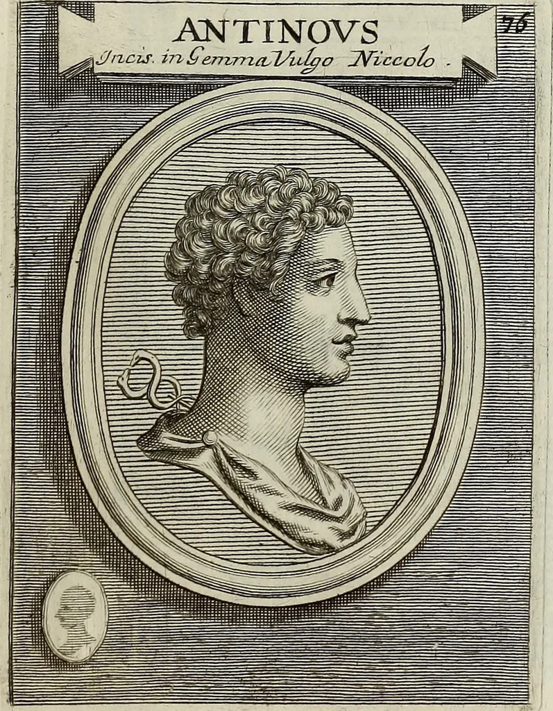 An illustration from Museum Cortonense : in quo vetera monumenta complectuntur anaglypha, thoreumata, gemmae inscalptae insculptaeque quae in Academia etrusca ceterisque nobilium virorum domibus adservantur, in plurimus tabulis aereis distributum, 1750, leaf 298