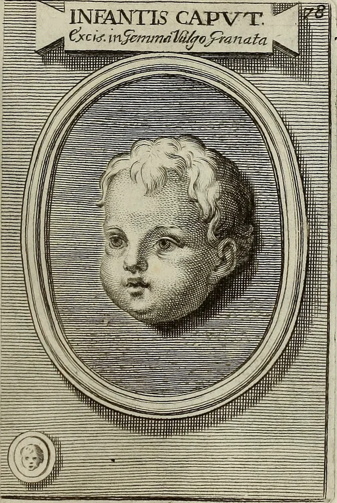 An illustration from Museum Cortonense : in quo vetera monumenta complectuntur anaglypha, thoreumata, gemmae inscalptae insculptaeque quae in Academia etrusca ceterisque nobilium virorum domibus adservantur, in plurimus tabulis aereis distributum, 1750, leaf 302
