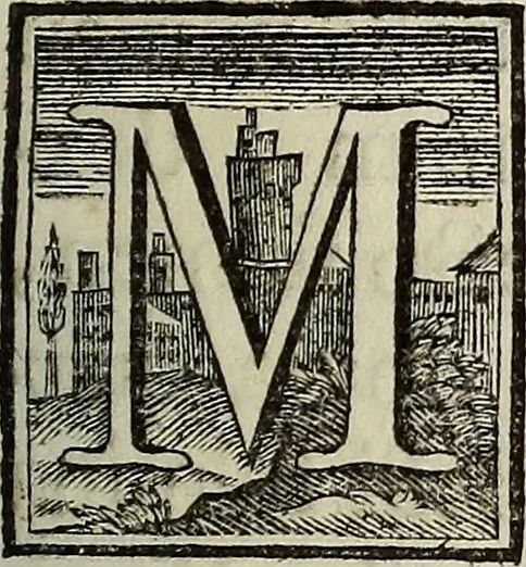 An illustration from Museum Cortonense : in quo vetera monumenta complectuntur anaglypha, thoreumata, gemmae inscalptae insculptaeque quae in Academia etrusca ceterisque nobilium virorum domibus adservantur, in plurimus tabulis aereis distributum, 1750, leaf 64