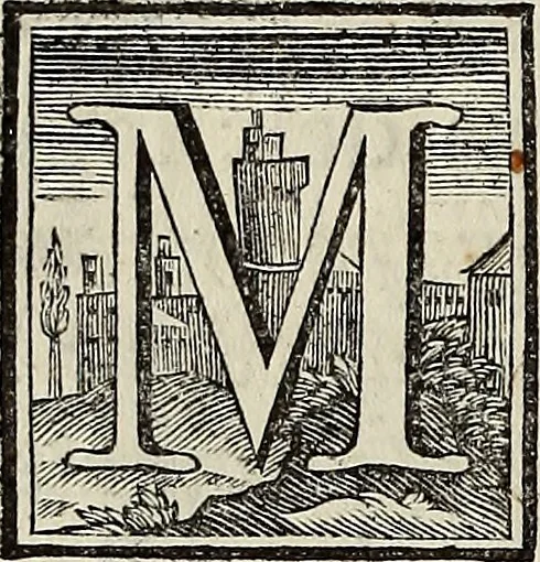 An illustration from Museum Cortonense : in quo vetera monumenta complectuntur anaglypha, thoreumata, gemmae inscalptae insculptaeque quae in Academia etrusca ceterisque nobilium virorum domibus adservantur, in plurimus tabulis aereis distributum, 1750, leaf 65
