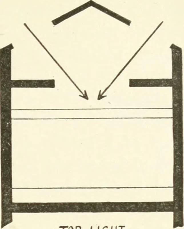 An illustration from Museum ideals of purpose and method, 1918, leaf 196