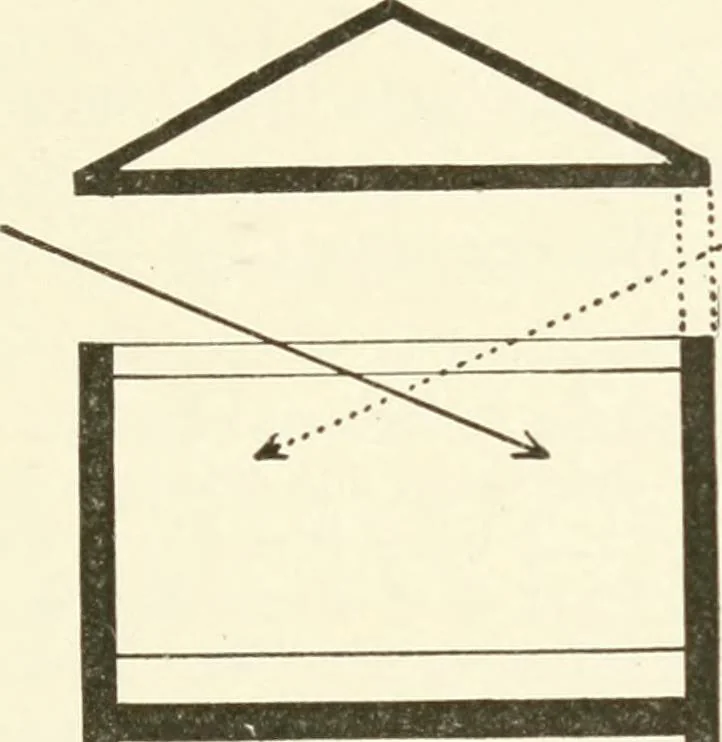 An illustration from Museum ideals of purpose and method, 1918, leaf 196
