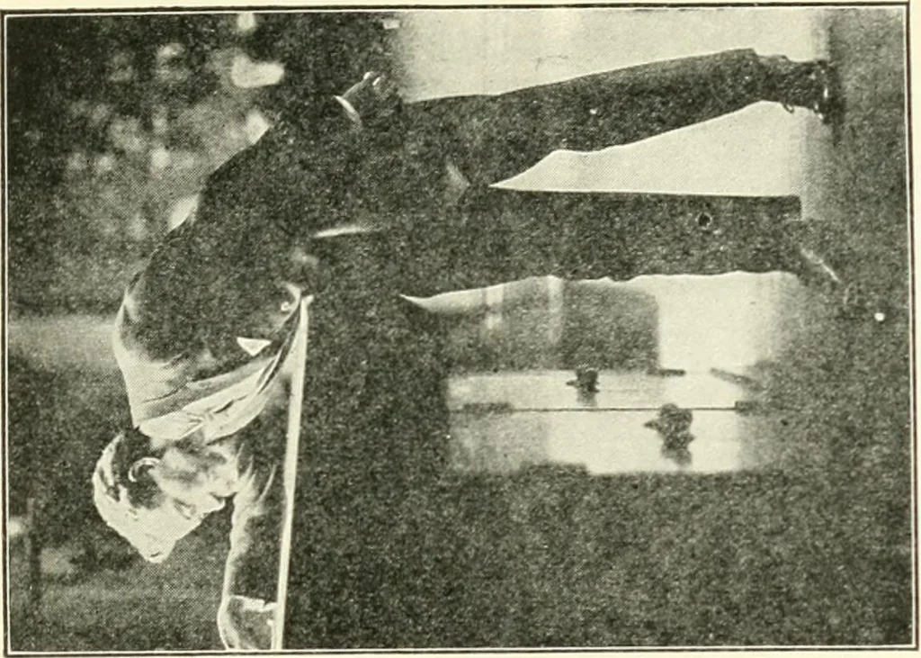 An illustration from Museum ideals of purpose and method, 1918, leaf 290