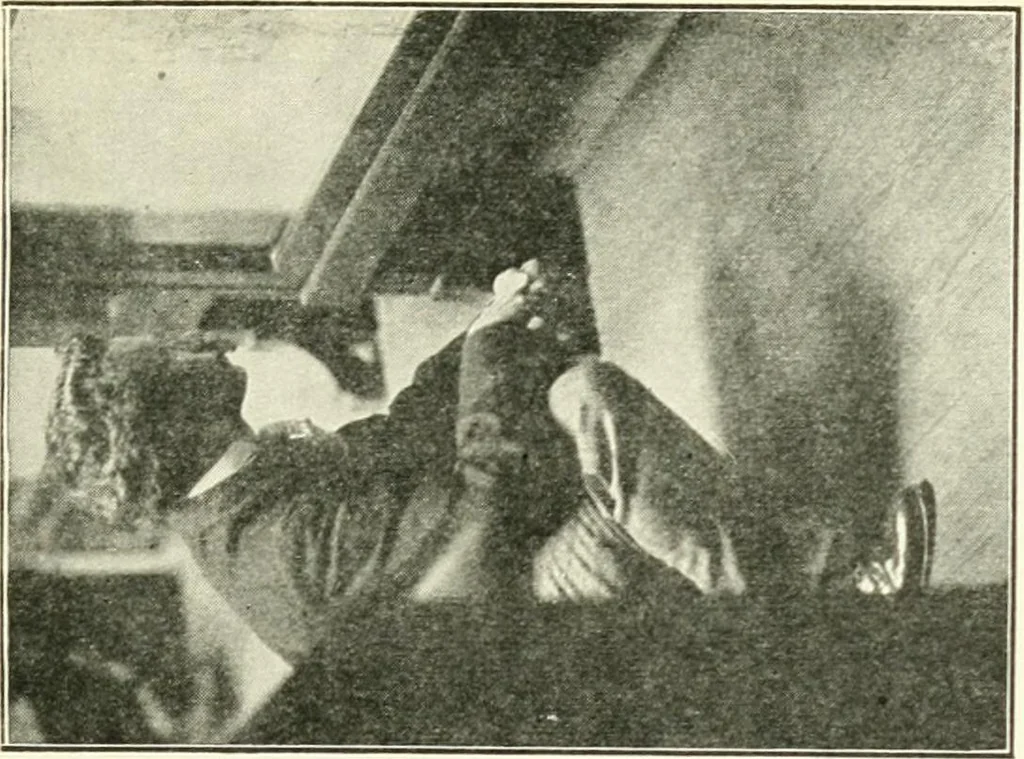 An illustration from Museum ideals of purpose and method, 1918, leaf 292