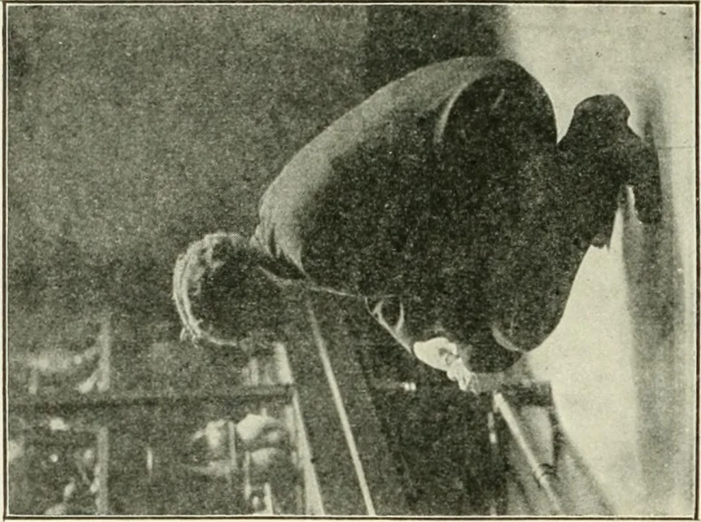 An illustration from Museum ideals of purpose and method, 1918, leaf 293