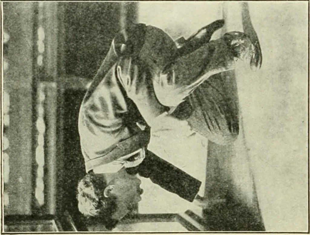 An illustration from Museum ideals of purpose and method, 1918, leaf 293