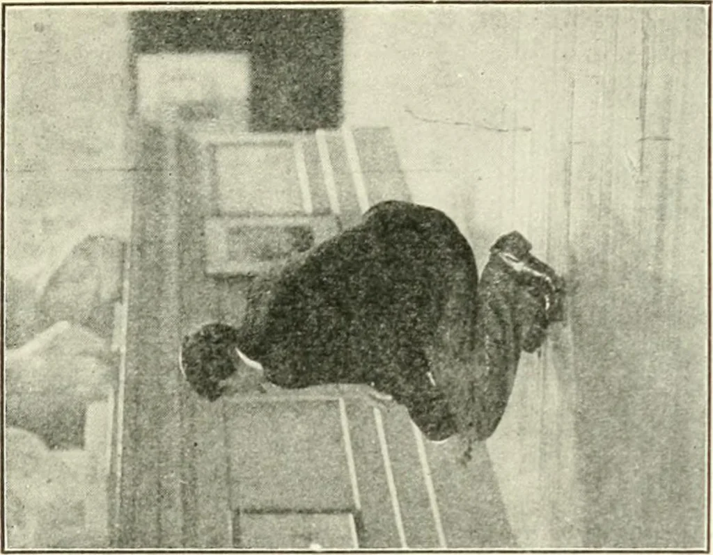 An illustration from Museum ideals of purpose and method, 1918, leaf 294