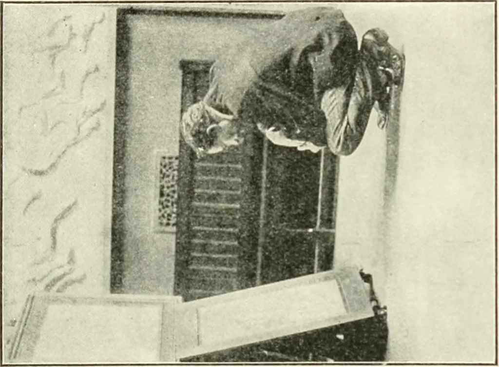 An illustration from Museum ideals of purpose and method, 1918, leaf 294