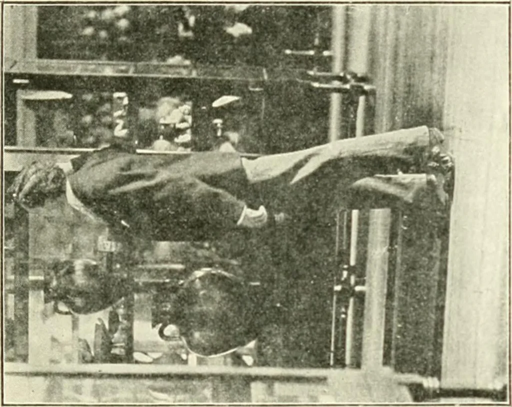 An illustration from Museum ideals of purpose and method, 1918, leaf 296
