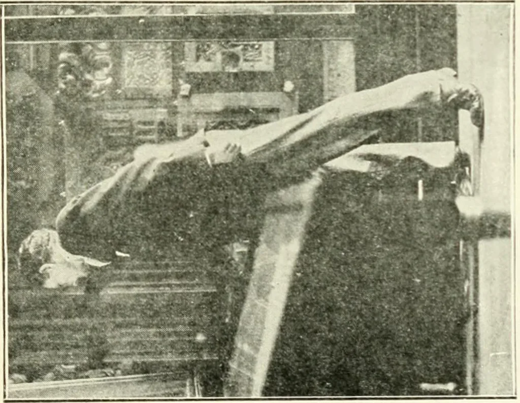 An illustration from Museum ideals of purpose and method, 1918, leaf 296