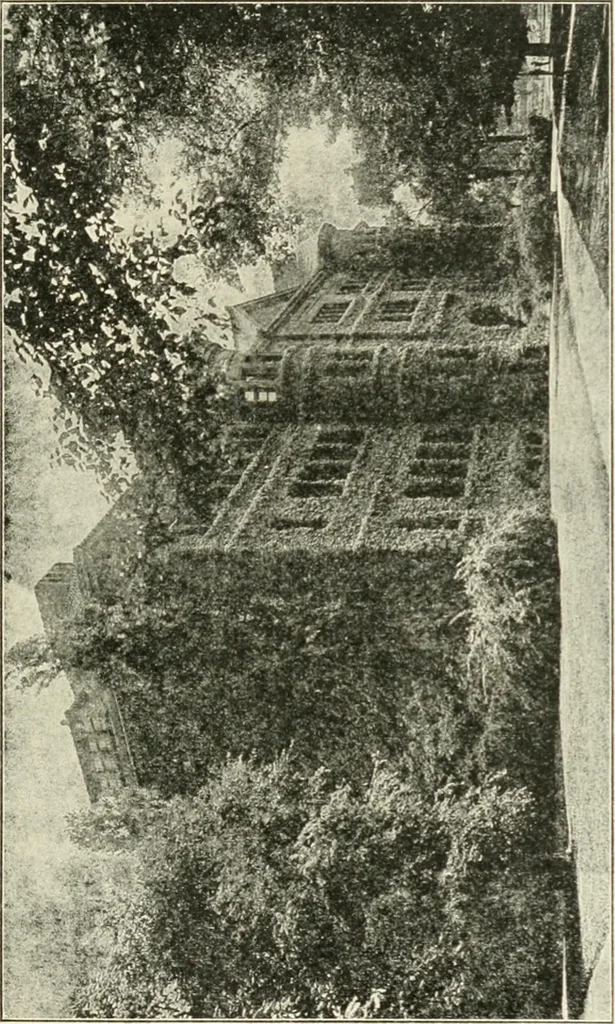 An illustration from Museum ideals of purpose and method, 1918, leaf 452