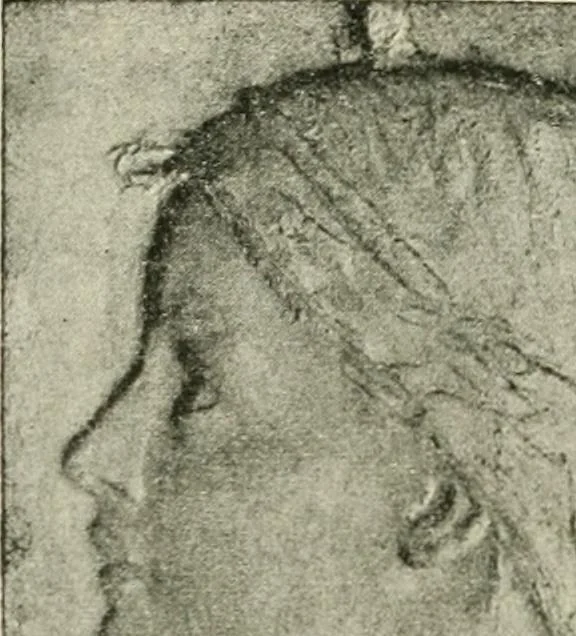 An illustration from Museum ideals of purpose and method, 1918, leaf 453