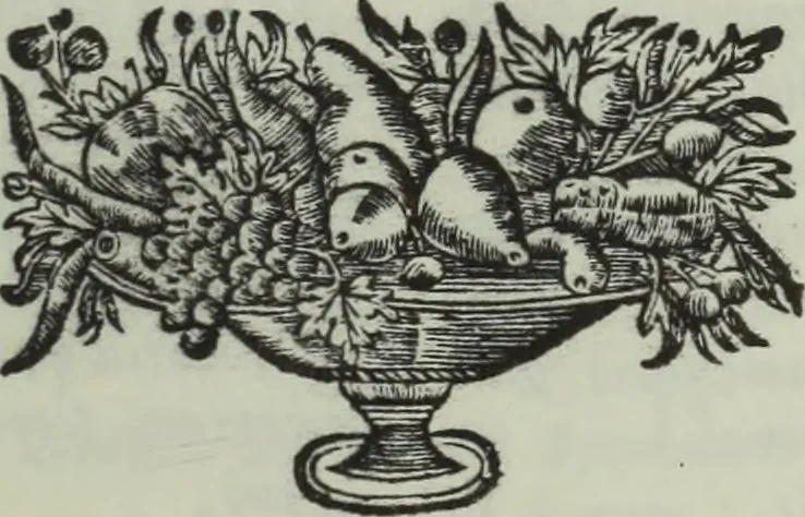 An illustration from Museum italicum, sev Collectio veterum scriptorum ex bibliothecis italicis, eruta a Johanne Mabillon, & Michaele Germain, 1687, leaf 20