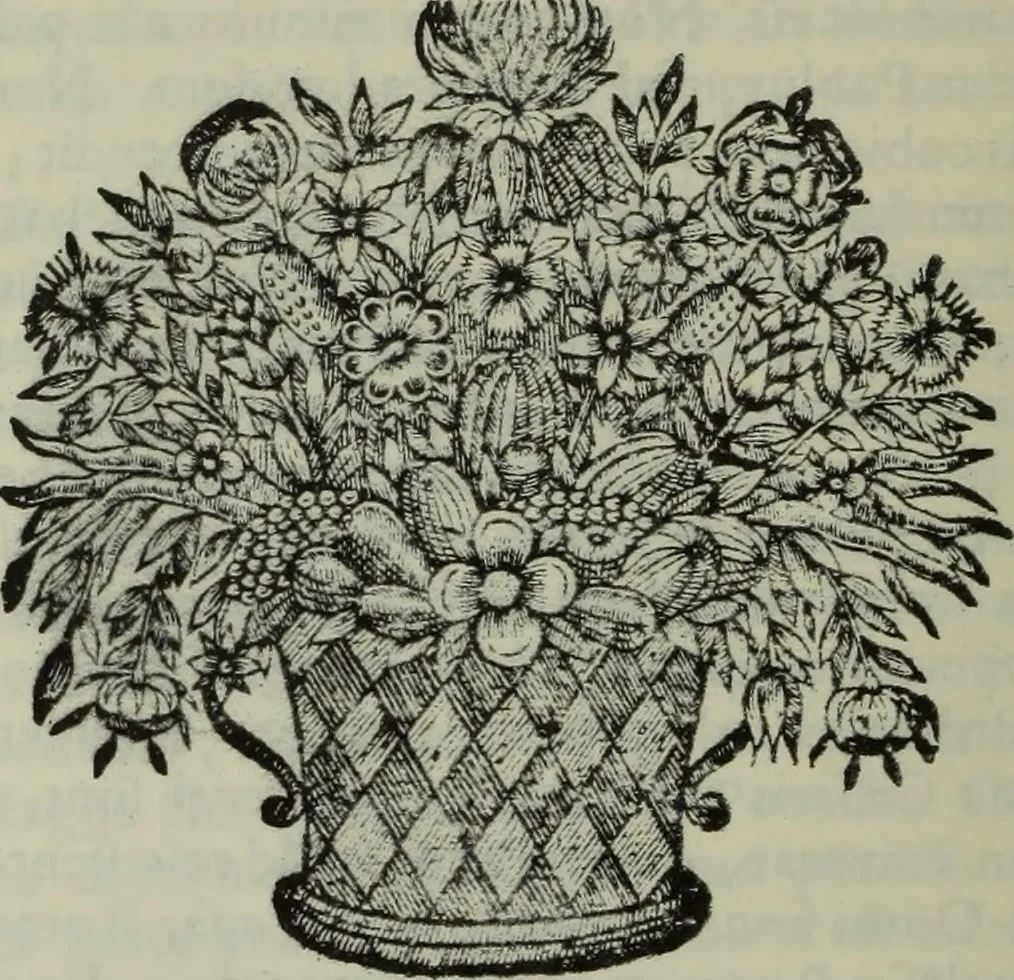 An illustration from Museum italicum, sev Collectio veterum scriptorum ex bibliothecis italicis, eruta a Johanne Mabillon, & Michaele Germain, 1687, leaf 567