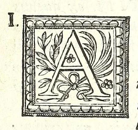 An illustration from Museum italicum, seu, Collectio veterum scriptorum ex bibliothecis italicis, 1687, leaf 291