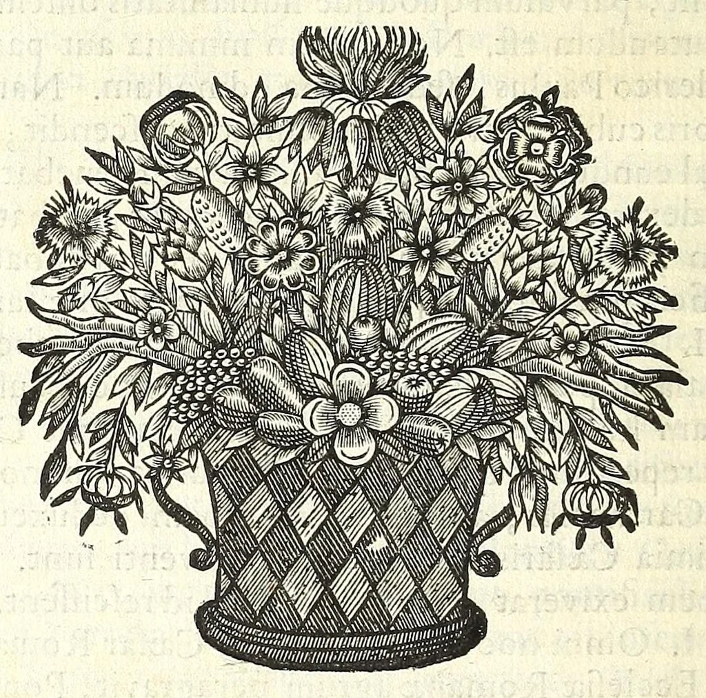 An illustration from Museum italicum, seu, Collectio veterum scriptorum ex bibliothecis italicis, 1687, leaf 562