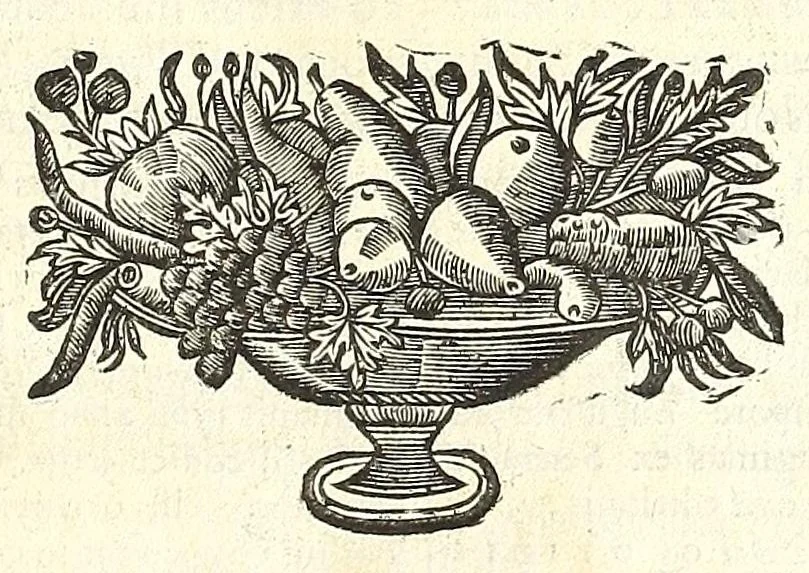 An illustration from Museum italicum, seu, Collectio veterum scriptorum ex bibliothecis italicis, 1687, leaf 567