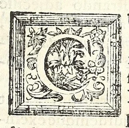 An illustration from Museum italicum, seu, Collectio veterum scriptorum ex bibliothecis italicis, 1687, leaf 13