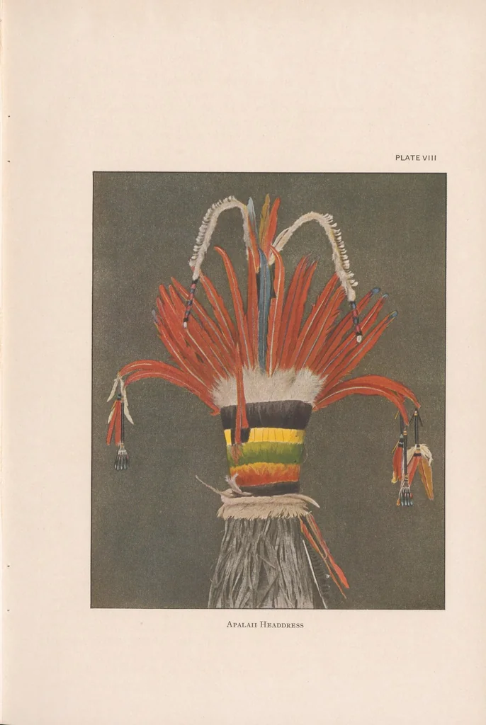 An illustration from The Museum journal, 1910, leaf 41