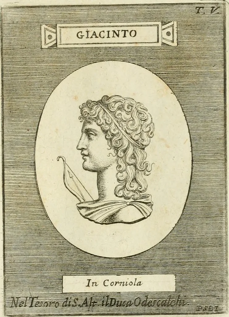 An illustration from Museum Odescalchum, sive, Thesaurus antiquarum gemmarum : cum imaginibus in iisdem insculptis, et iisdem exsculptis, quæ a serenissima Christina svecorum regina collectæ in Museo Odescalcho adservantur, et a Petro Sancte Bartolo quondam incisæ, nunc primum in lucem proferuntur .., 1751, leaf 124