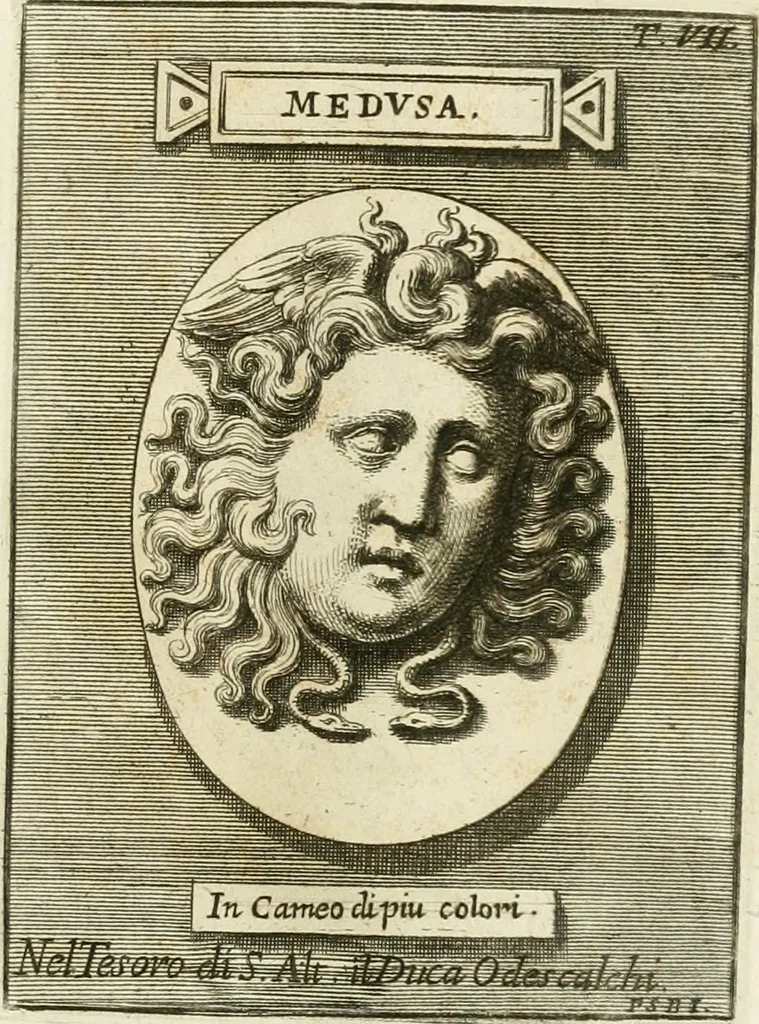 An illustration from Museum Odescalchum, sive, Thesaurus antiquarum gemmarum : cum imaginibus in iisdem insculptis, et iisdem exsculptis, quæ a serenissima Christina svecorum regina collectæ in Museo Odescalcho adservantur, et a Petro Sancte Bartolo quondam incisæ, nunc primum in lucem proferuntur .., 1751, leaf 128