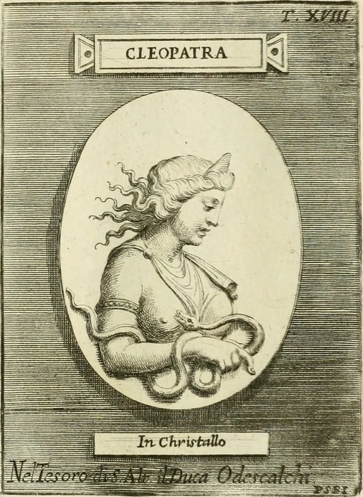 An illustration from Museum Odescalchum, sive, Thesaurus antiquarum gemmarum : cum imaginibus in iisdem insculptis, et iisdem exsculptis, quæ a serenissima Christina svecorum regina collectæ in Museo Odescalcho adservantur, et a Petro Sancte Bartolo quondam incisæ, nunc primum in lucem proferuntur .., 1751, leaf 150