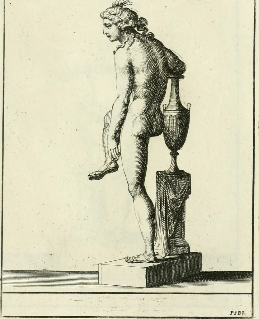 An illustration from Museum Odescalchum, sive, Thesaurus antiquarum gemmarum : cum imaginibus in iisdem insculptis, et iisdem exsculptis, quæ a serenissima Christina svecorum regina collectæ in Museo Odescalcho adservantur, et a Petro Sancte Bartolo quondam incisæ, nunc primum in lucem proferuntur .., 1751, leaf 224