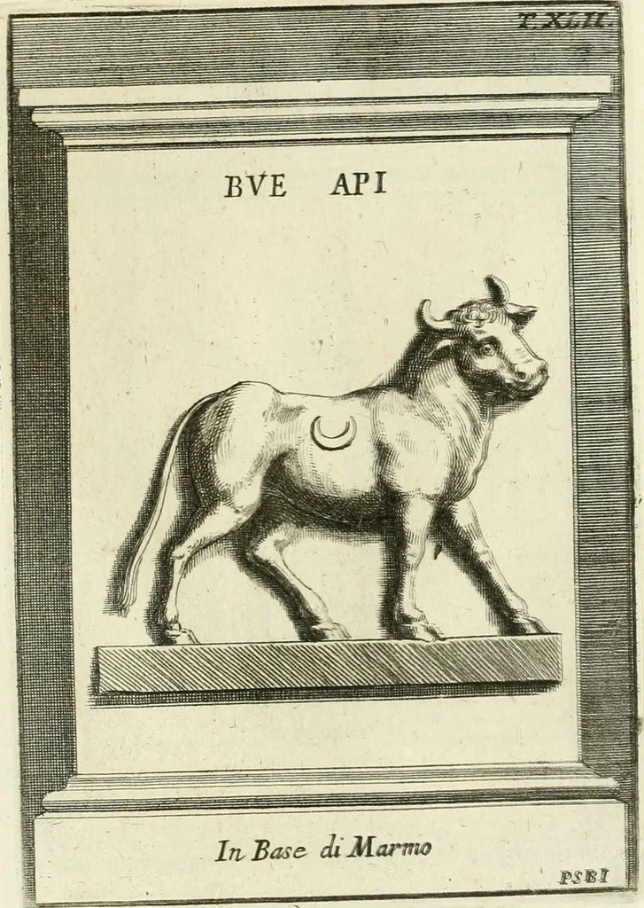 An illustration from Museum Odescalchum, sive, Thesaurus antiquarum gemmarum : cum imaginibus in iisdem insculptis, et iisdem exsculptis, quæ a serenissima Christina svecorum regina collectæ in Museo Odescalcho adservantur, et a Petro Sancte Bartolo quondam incisæ, nunc primum in lucem proferuntur .., 1751, leaf 242