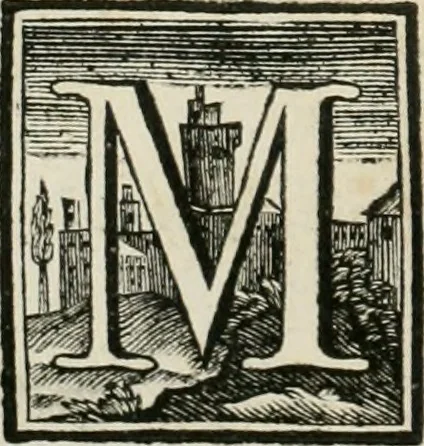 An illustration from Museum Odescalchum, sive, Thesaurus antiquarum gemmarum : cum imaginibus in iisdem insculptis, et iisdem exsculptis, quæ a serenissima Christina svecorum regina collectæ in Museo Odescalcho adservantur, et a Petro Sancte Bartolo quondam incisæ, nunc primum in lucem proferuntur .., 1751, leaf 25