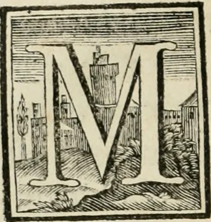 An illustration from Museum Odescalchum, sive, Thesaurus antiquarum gemmarum : cum imaginibus in iisdem insculptis, et iisdem exsculptis, quæ a serenissima Christina svecorum regina collectæ in Museo Odescalcho adservantur, et a Petro Sancte Bartolo quondam incisæ, nunc primum in lucem proferuntur .., 1751, leaf 29