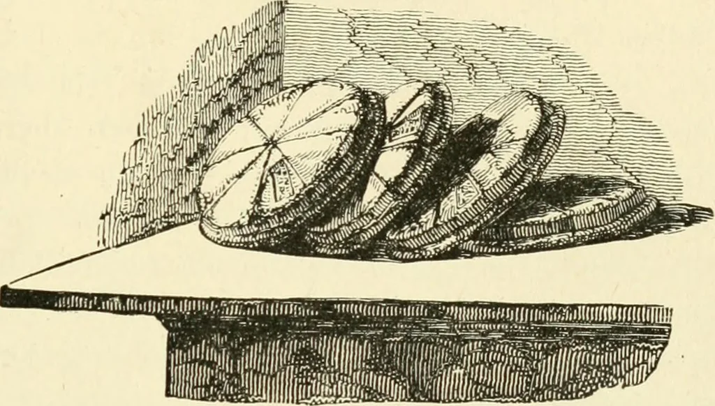 An illustration from Museum of antiquity : a description of ancient life : the employments, amusements, customs and habits, the cities, palaces, monuments and tombs, the literature and fine arts of 3,000 years ago, 1882, leaf 394