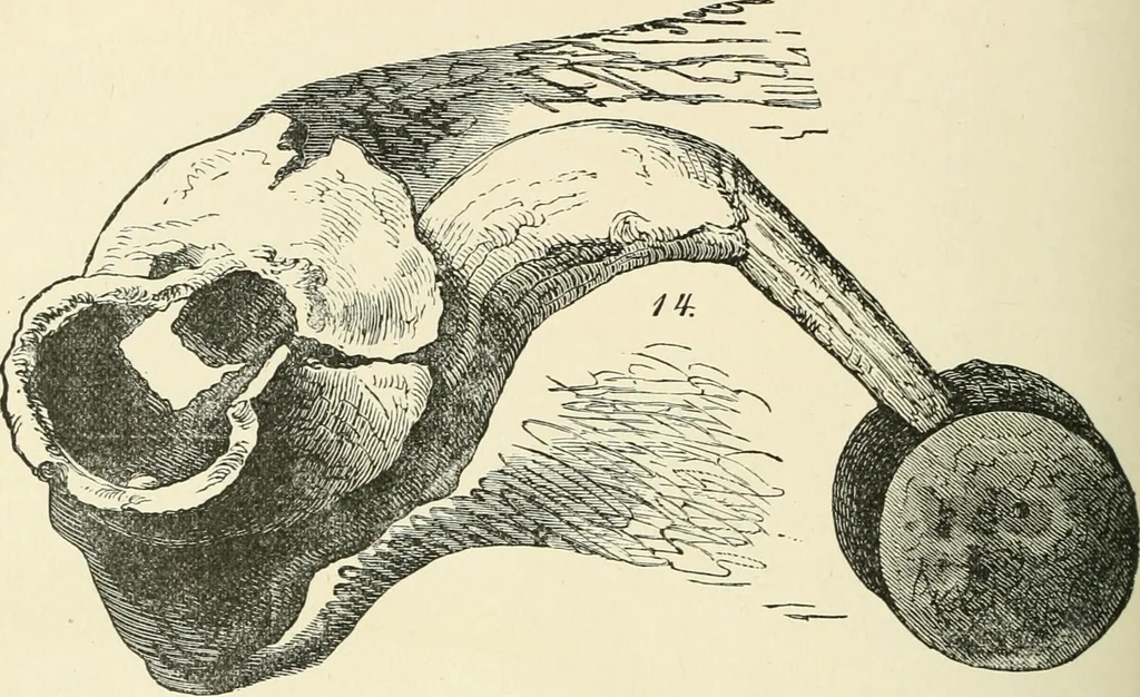 An illustration from Museum of antiquity : a description of ancient life : the employments, amusements, customs and habits, the cities, palaces, monuments and tombs, the literature and fine arts of 3,000 years ago, 1882, leaf 433