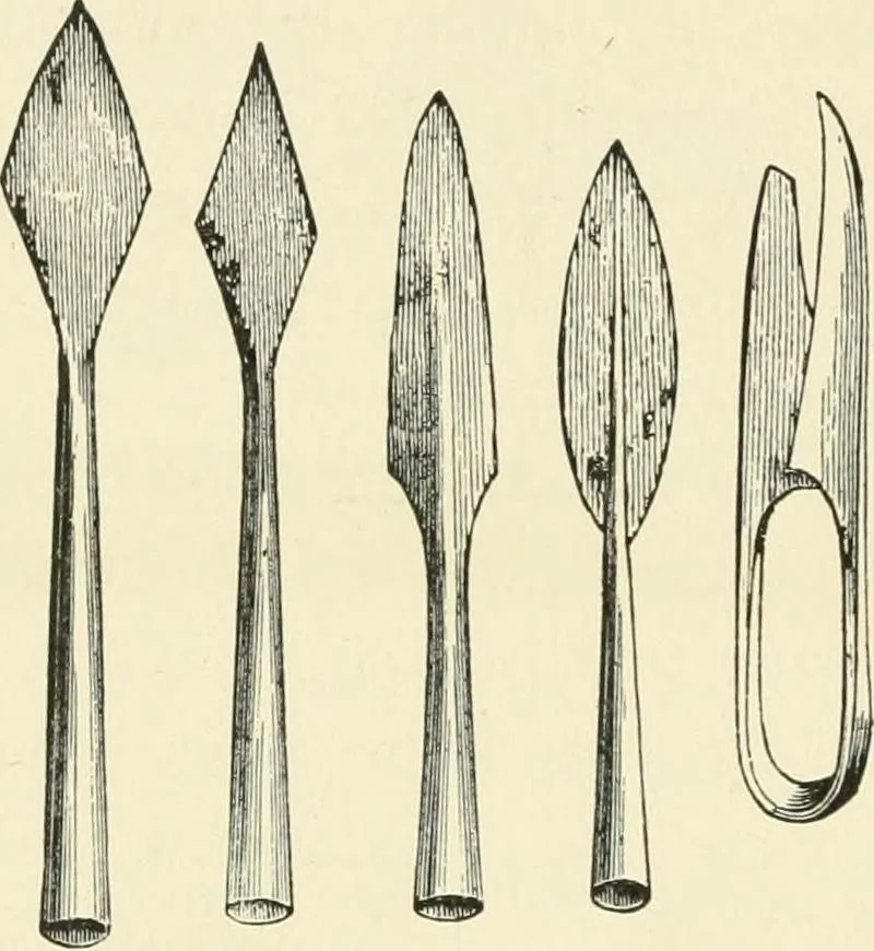 An illustration from Museum of antiquity : a description of ancient life : the employments, amusements, customs and habits, the cities, palaces, monuments and tombs, the literature and fine arts of 3,000 years ago, 1882, leaf 443