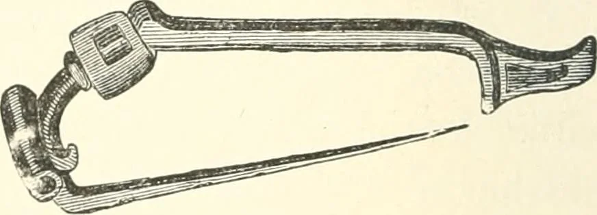 An illustration from Museum of antiquity; a description of ancient life: the employments, amusements, customs and habits, the cities, places, monuments and tombs, the literature and fine arts of 3,000 years ago, 1887, leaf 231