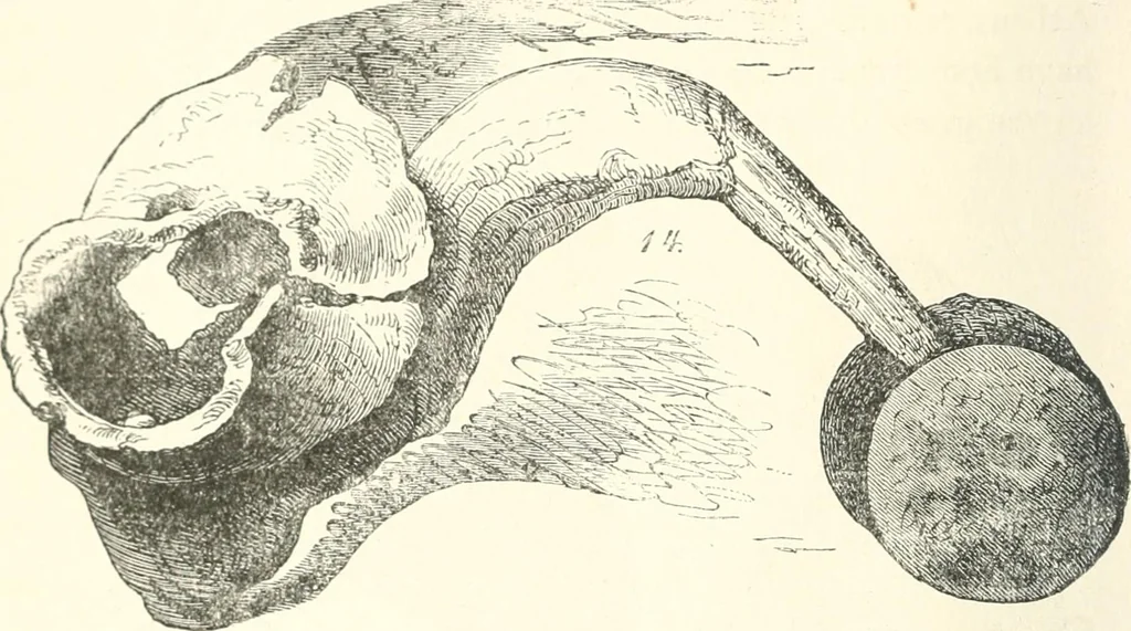 An illustration from Museum of antiquity; a description of ancient life: the employments, amusements, customs and habits, the cities, places, monuments and tombs, the literature and fine arts of 3,000 years ago, 1887, leaf 421