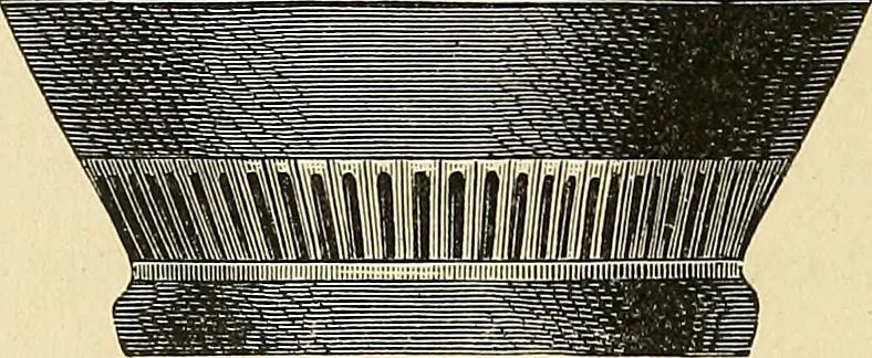 An illustration from Museum of antiquity; a description of ancient life: the employments, amusements, customs and habits, the cities, palaces, monuments and tombs, the literature and fine arts of 3,000 years ago, 1883, leaf 345