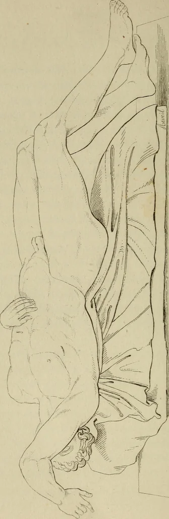 An illustration from Museum of painting and sculpture, or, Collection of the principal pictures, statues and bas-reliefs in the public and private galleries of Europe, 1828, leaf 143