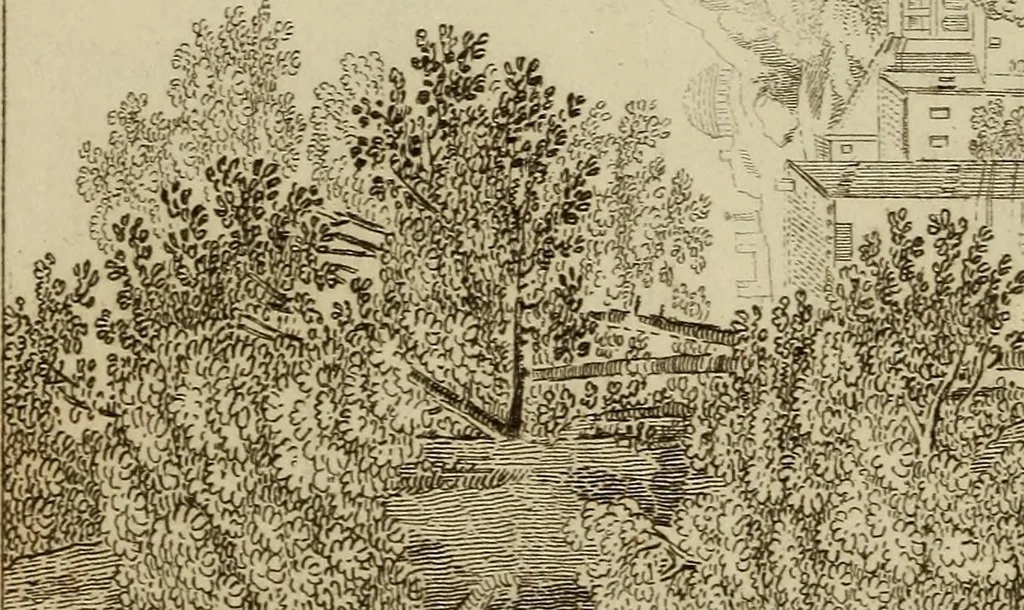 An illustration from Museum of painting and sculpture, or, Collection of the principal pictures, statues and bas-reliefs in the public and private galleries of Europe, 1828, leaf 303